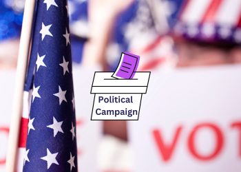 Political Campaign Strategies